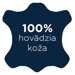 Ikona